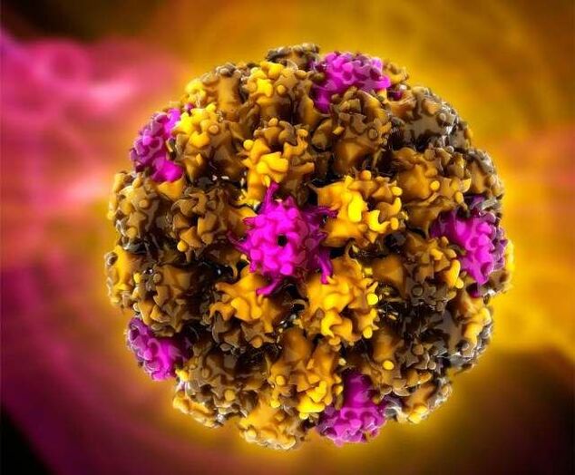 Virus du papillome humain