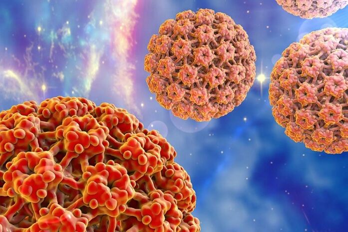 Molécule du virus du papillome humain