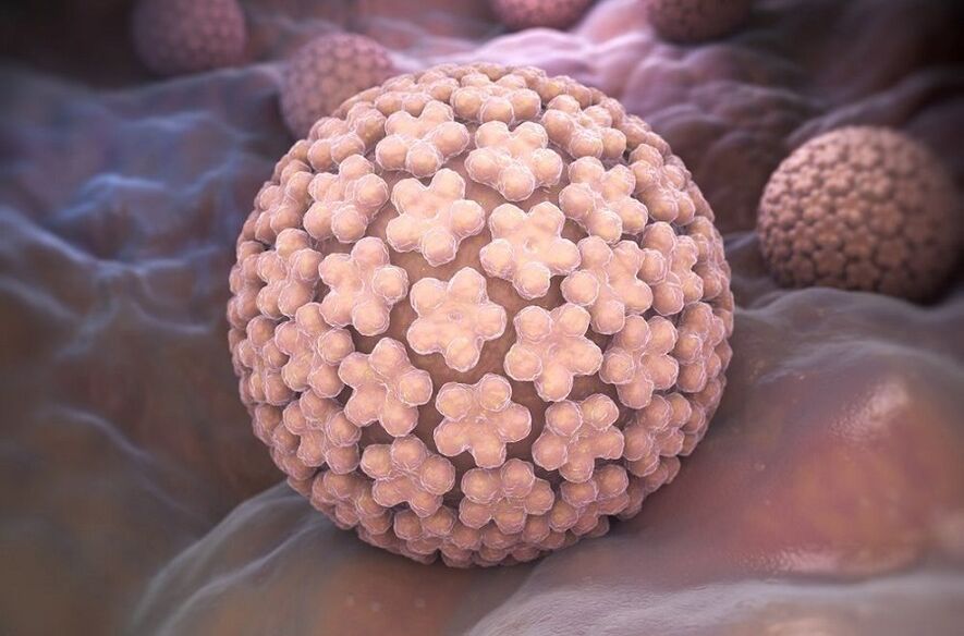 papillomavirus humain qui provoque des verrues